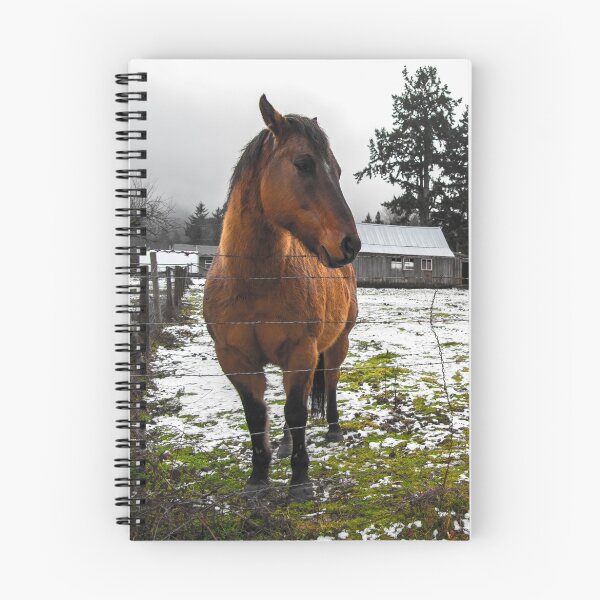 Item preview, Misty Morning Pony designed and sold by Shaynelee.