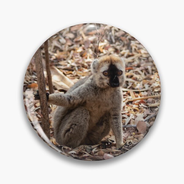 Item preview, Red-fronted brown lemur designed and sold by HazelWright.