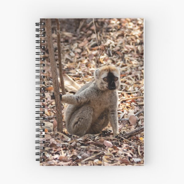 Item preview, Red-fronted brown lemur designed and sold by HazelWright.
