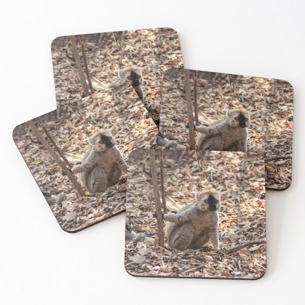 Item preview, Red-fronted brown lemur designed and sold by HazelWright.