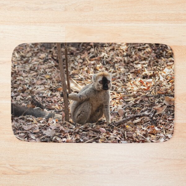 Item preview, Red-fronted brown lemur designed and sold by HazelWright.