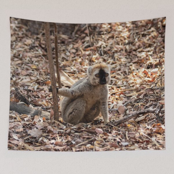 Item preview, Red-fronted brown lemur designed and sold by HazelWright.