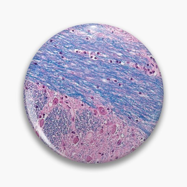 Item preview, Pons Histology designed and sold by deltoid.