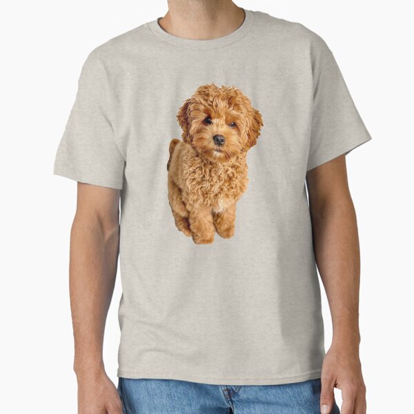 Item preview, Cavapoo designed and sold by thecavapootales.