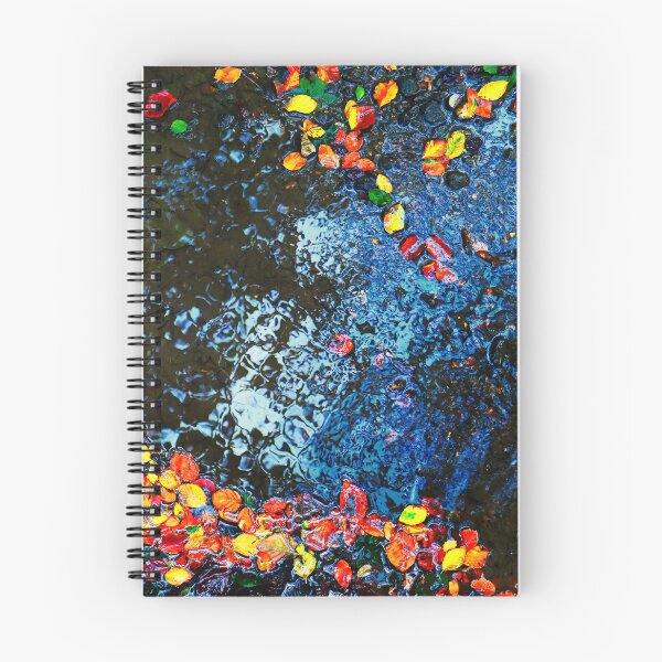Aperçu de l'œuvre Feuilles d'automne créée et vendue par bernwebb.