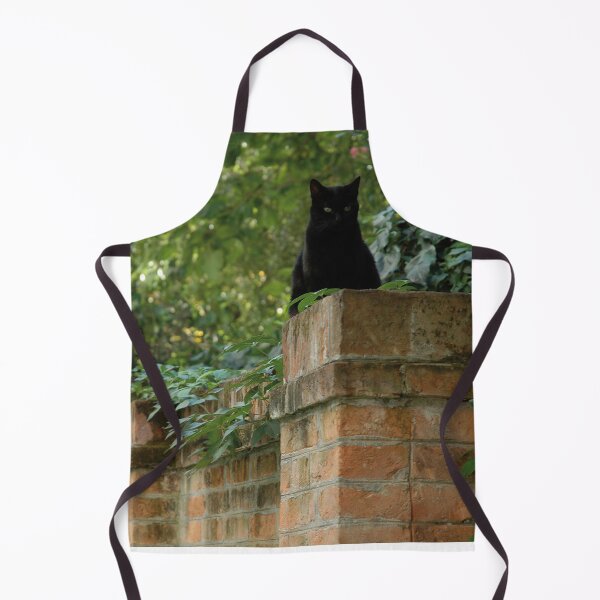 Item preview, Zorro on his wall designed and sold by Nerone.
