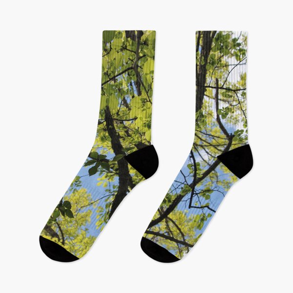 Item preview, Green Leaves and Blue Skies designed and sold by Susie Kramer.