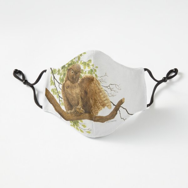 Be Wise—Wear a Mask! Fitted 3-Layer