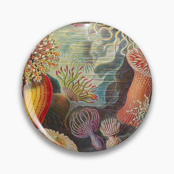 Item preview, Ernst Haeckel Sea Anemones Vintage Illustration designed and sold by Vintage Wall Art.