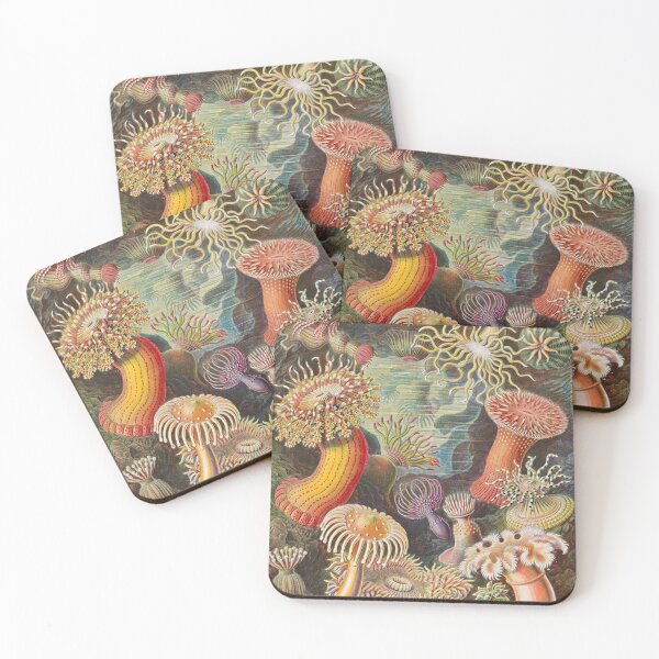 Item preview, Ernst Haeckel Sea Anemones Vintage Illustration designed and sold by Vintage Wall Art.