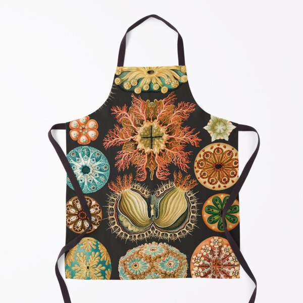 Item preview, Ernst Haeckel Sea Squirts Illustration, 1904 designed and sold by Vintage Wall Art.