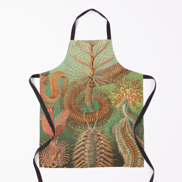 Item preview, Ernst Haeckel Spined Marine Worms Illustration, 1904 designed and sold by Vintage Wall Art.
