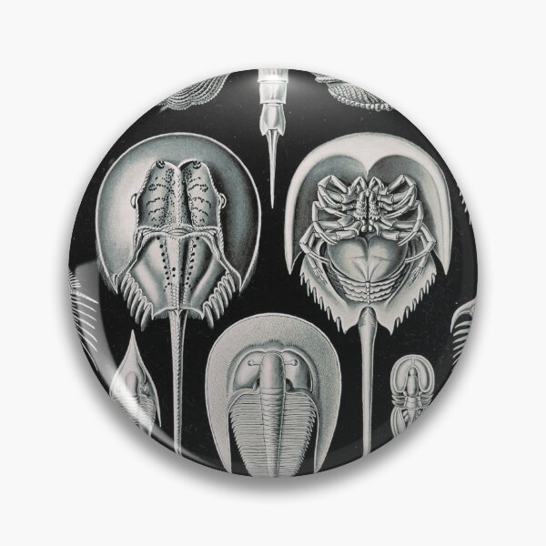Item preview, Ernst Haeckel Horseshoe Crab Vintage Illustration designed and sold by Vintage Wall Art.