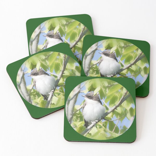 Item preview, Baby Eastern Kingbird designed and sold by Anita Oakley.