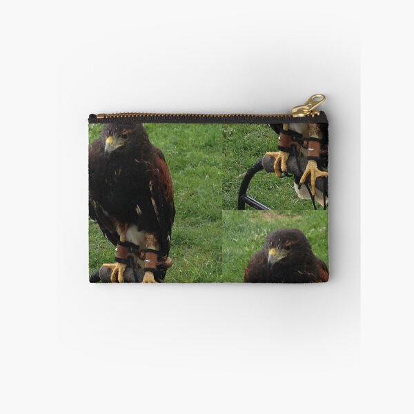 Item preview, Harris Hawk on Bow Perch designed and sold by panther-star.