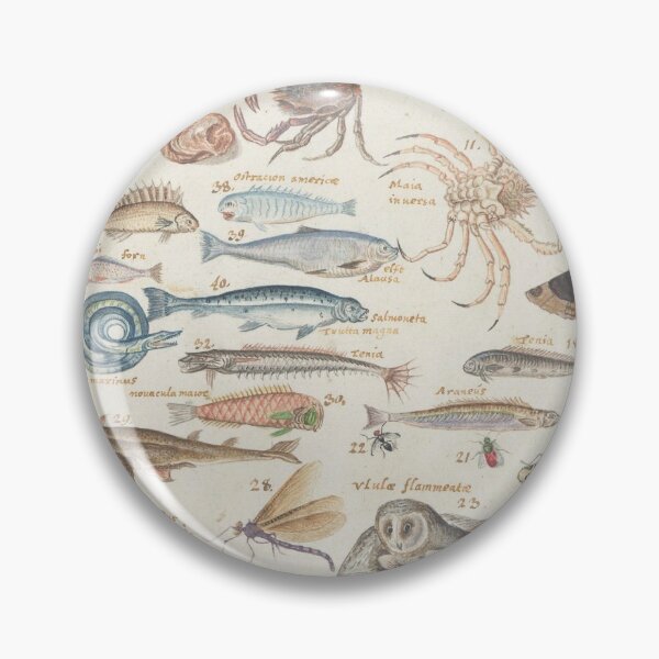 Item preview, Vintage Natural History Scientific Illustration Chart, 16th Century designed and sold by Vintage Wall Art.