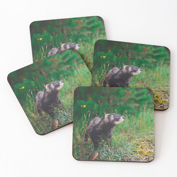 Item preview, Dark Ferret In The Woods designed and sold by PurpleBluesPets.