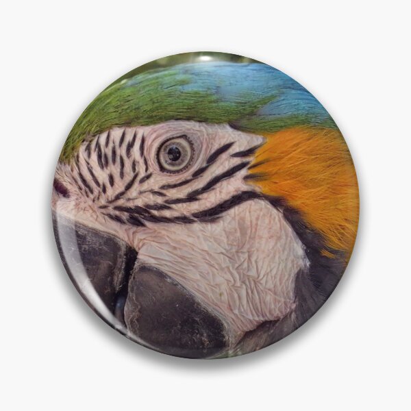 Item preview, Blue and Yellow Macaw designed and sold by Philip Butler.