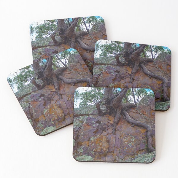 Item preview, Tree Roots, Mount Arthur, Wellington, NSW, Australia designed and sold by Richard  Windeyer.