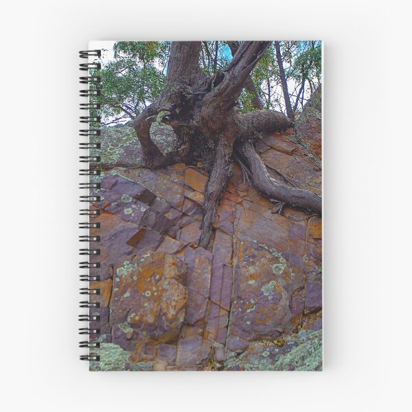 Item preview, Tree Roots, Mount Arthur, Wellington, NSW, Australia designed and sold by Richard  Windeyer.