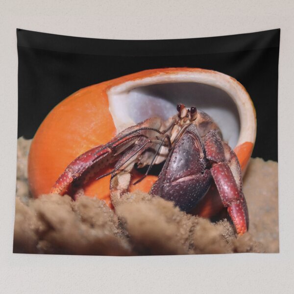 Item preview, Hey, Where Am I?  designed and sold by heatherfriedman.