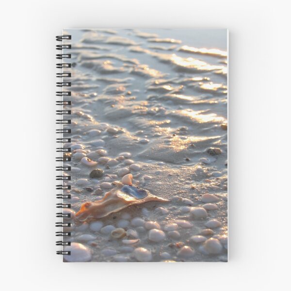 Item preview, The Beach is Your Oyster designed and sold by Stuart Daddow Photography.