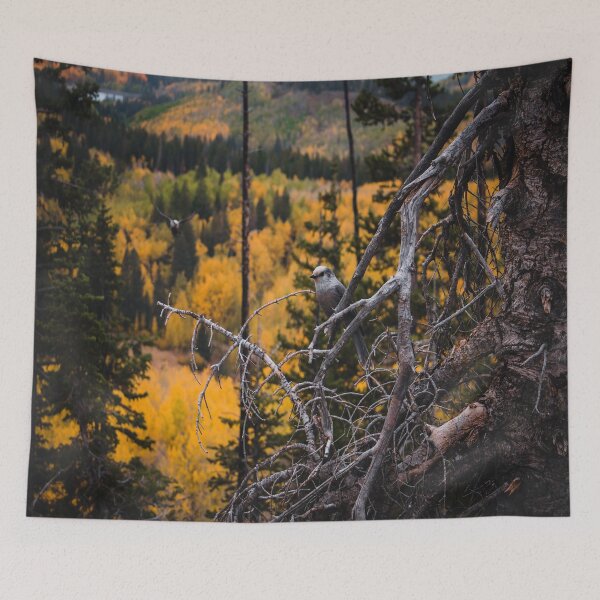 Item preview, Fall Birdies designed and sold by JLPhotographer.