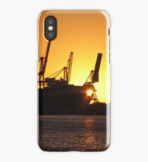Cranes at Sunset iPhone Case