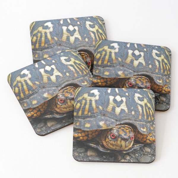 Item preview, Box Turtle designed and sold by mark-bugs-org.