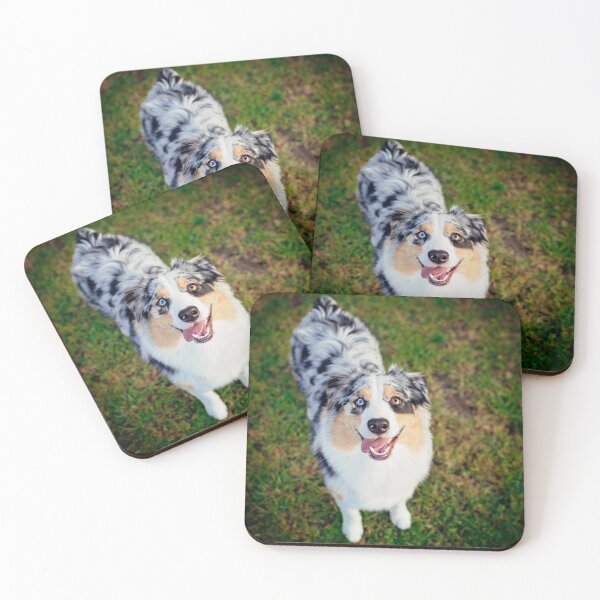 Item preview, Summer  designed and sold by PurpleBluesPets.