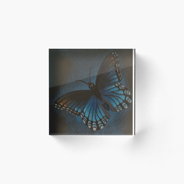 Aperçu de l'œuvre Papillon bleu créée et vendue par WyoClements.