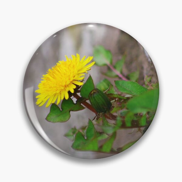Item preview, Wallflower designed and sold by Treemonk.