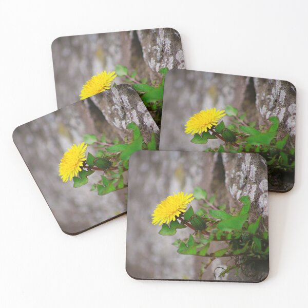 Item preview, Wallflower designed and sold by Treemonk.