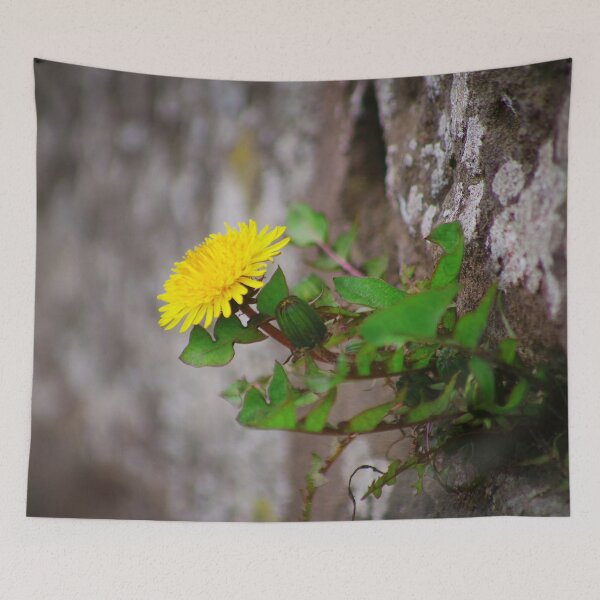 Item preview, Wallflower designed and sold by Treemonk.