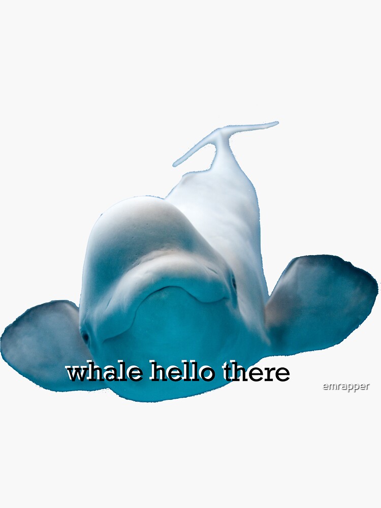 Beluga Whale Lol GIF
