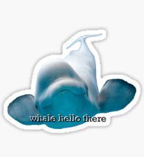 Whale Hello There Beluga Sticker