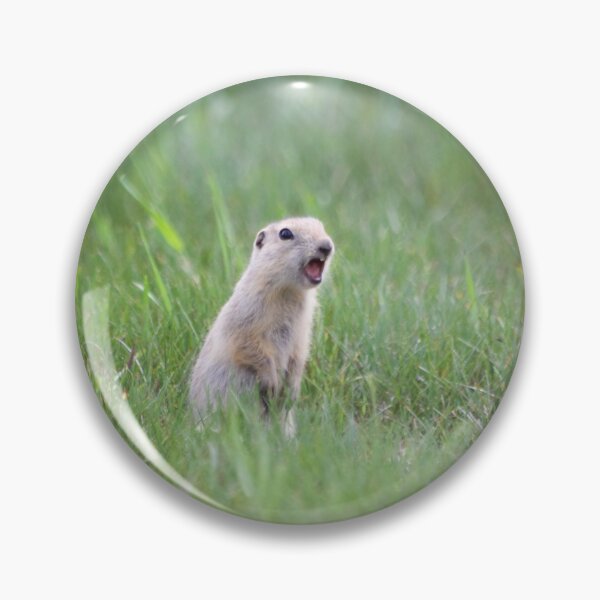 Item preview, Prairie Dog Calls designed and sold by couragesings.