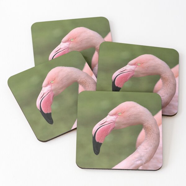 Item preview, Pink Flamingo Headshot designed and sold by thedvguy.