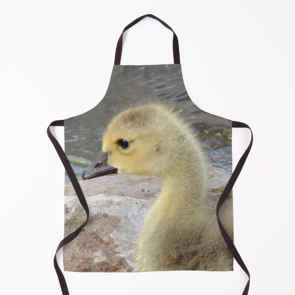 Item preview, Adorable Gosling designed and sold by Susie Kramer.