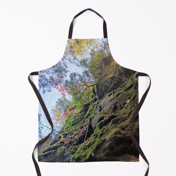Item preview, Moss Rocks. Green mossy rocks with blue clear sky and fall red and green leaves on trees. designed and sold by milkasweet.