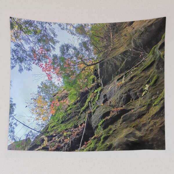 Item preview, Moss Rocks. Green mossy rocks with blue clear sky and fall red and green leaves on trees. designed and sold by milkasweet.