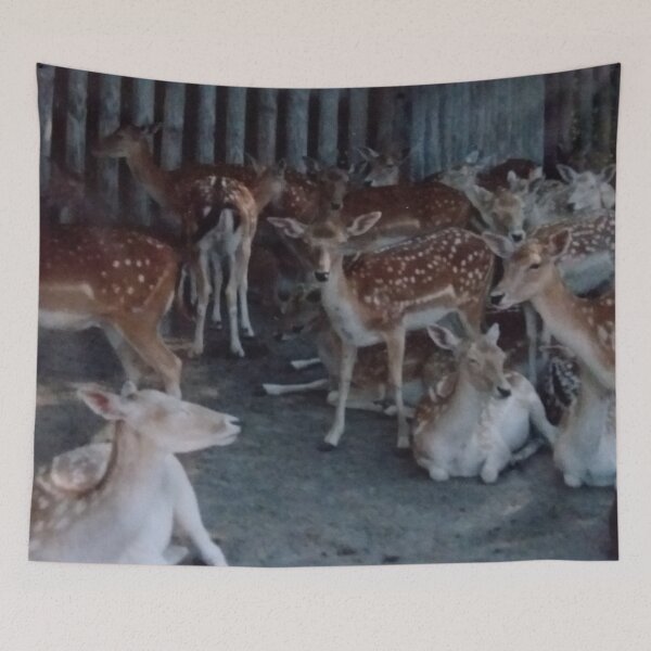 Item preview, A small herd of deer designed and sold by edwardtiptonart.