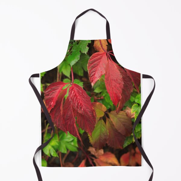 Artikelvorschau, Bunte Herbstblätter auf Naturhintergrund entworfen und verkauft von olena2552.