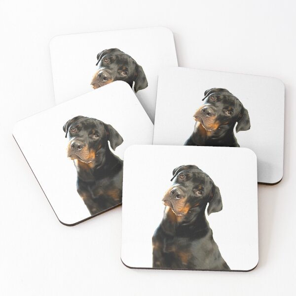 Amenadiel the kind hearted Rotty Coasters (Set of 4)