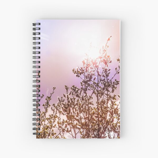 Buds and sunset, colorful sky (nature photo) Spiral Notebook