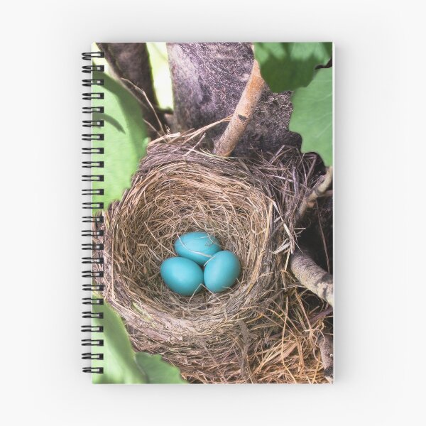 Item preview, Robin's Nest with 3 Blue Eggs designed and sold by Karen Granoski.