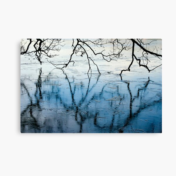 Frozen Lake Reflections Canvas Print