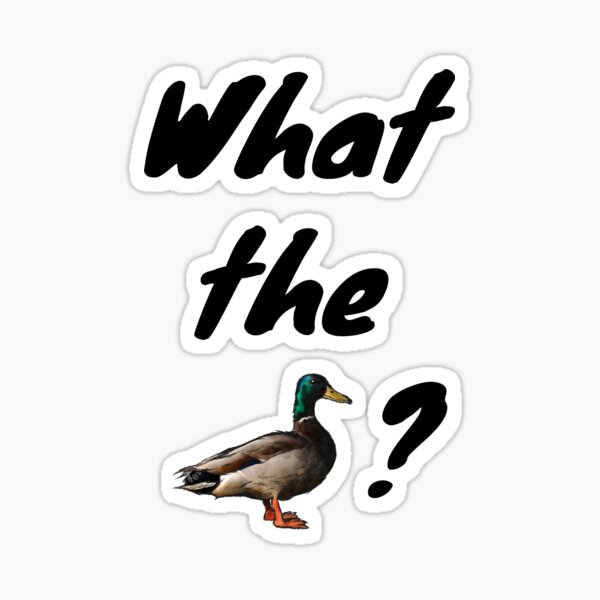 Item preview, What the Duck ? designed and sold by Travelers of the World.