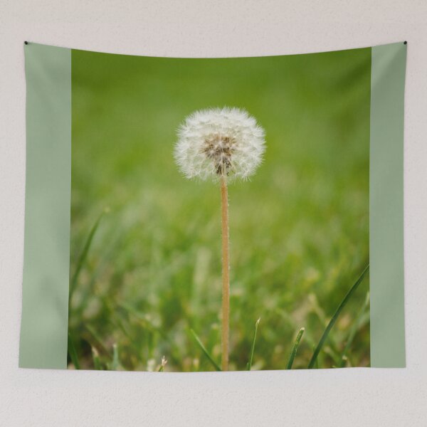 Item preview, Dead Dandelion designed and sold by JmanInABox.