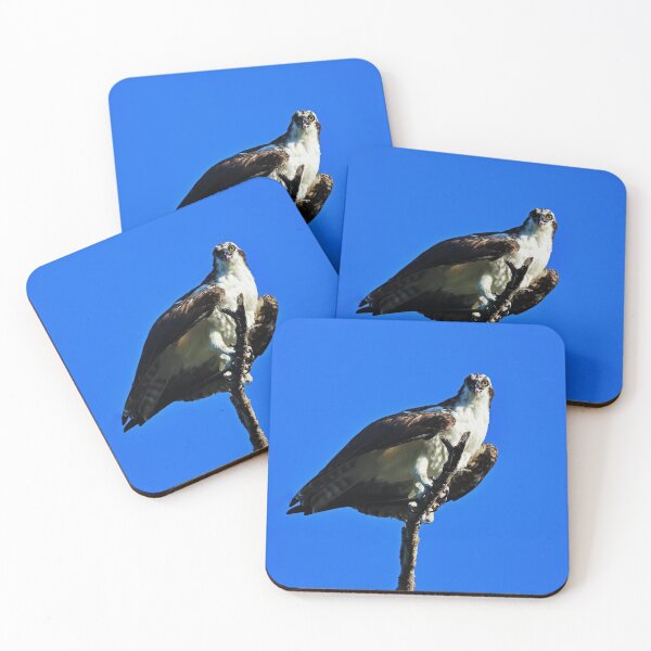 Item preview, Choose Vulnerability designed and sold by Michiale.